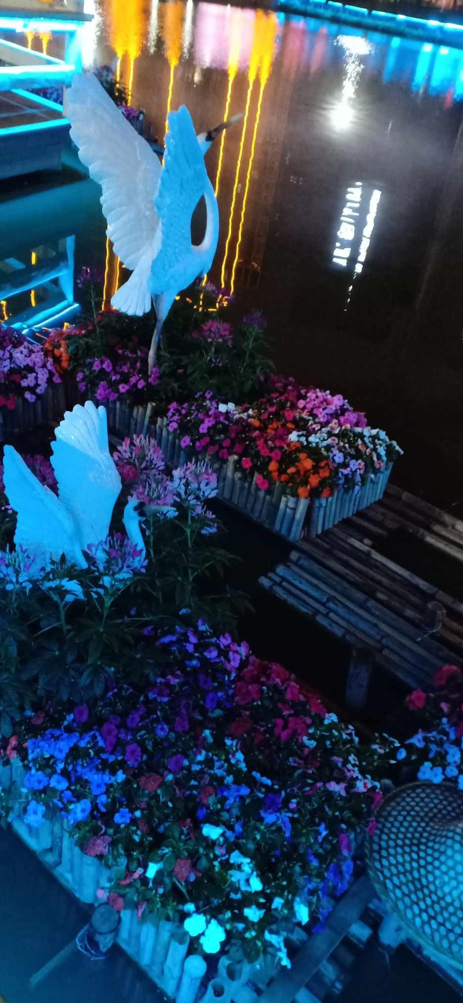 天下HD